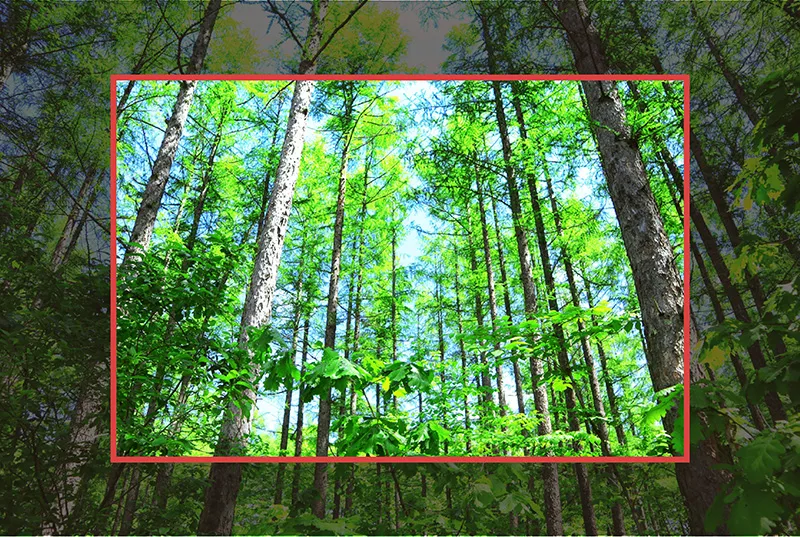 【CSS / object-fit】動画や画像の縦横比を保ったままトリミングする